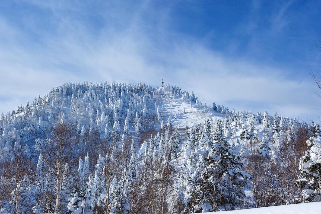Shiga Kogen Olympic Hotel Yamanouchi (Nagano) Exterior foto